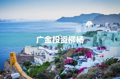 廣金投資柳楊——廣金資本企業簡介