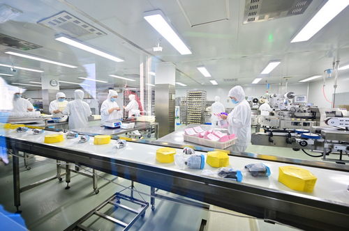 餐桌上的安全衛士 走進沈陽綠色工廠，揭秘食品產業的生產革命